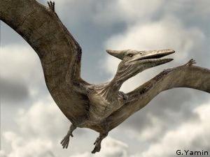 tn_Pterosauria